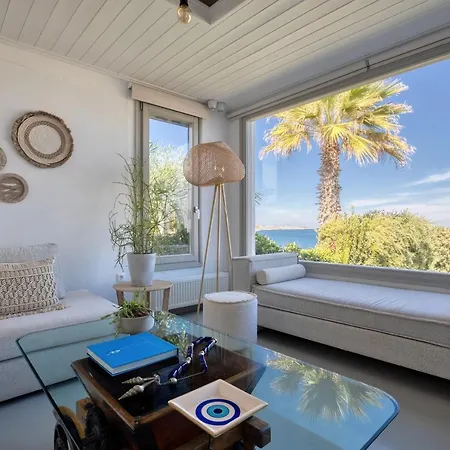 Amalgam Homes Paros Beachfront Villa Ambelas