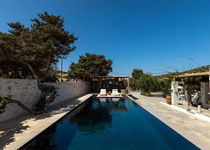 Amalgam Homes Paros Beachfront וילה *